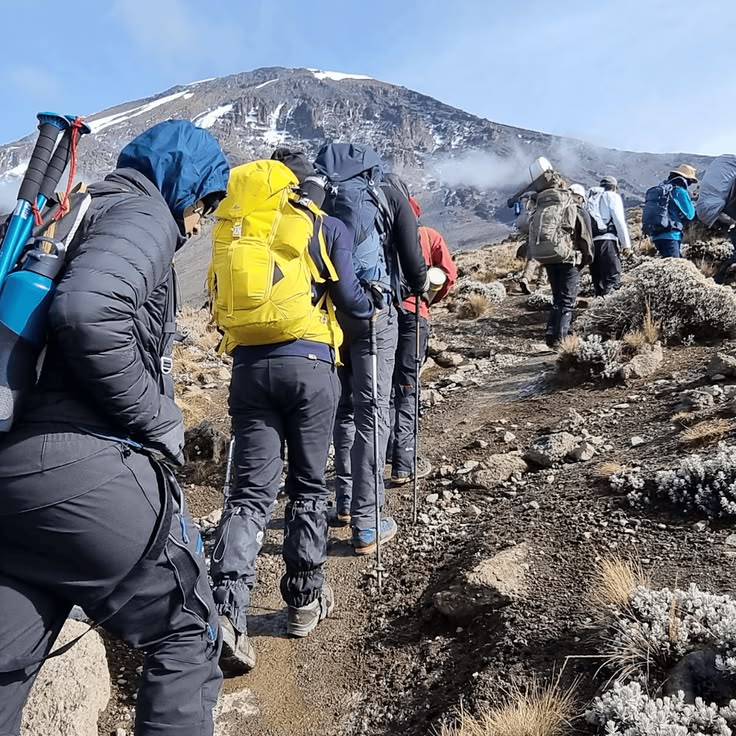 Kilimanjaro