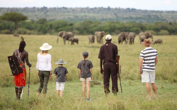 6 Days Tanzania Wildlife Safari